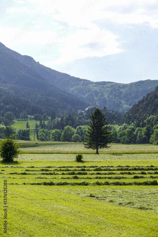 Heuwiese, Losenheim, Schneeberg-Region, NIederösterreich, Öste