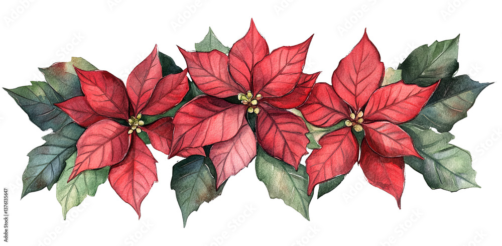 response Poinsettia displays joyful color and vibrancy this holiday season response Poinsettia displays joyful color and vibrancy this holiday season