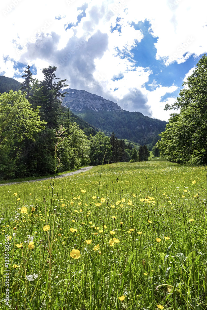 Losenheim, Schneeberg-Region, NIederösterreich, Österreich