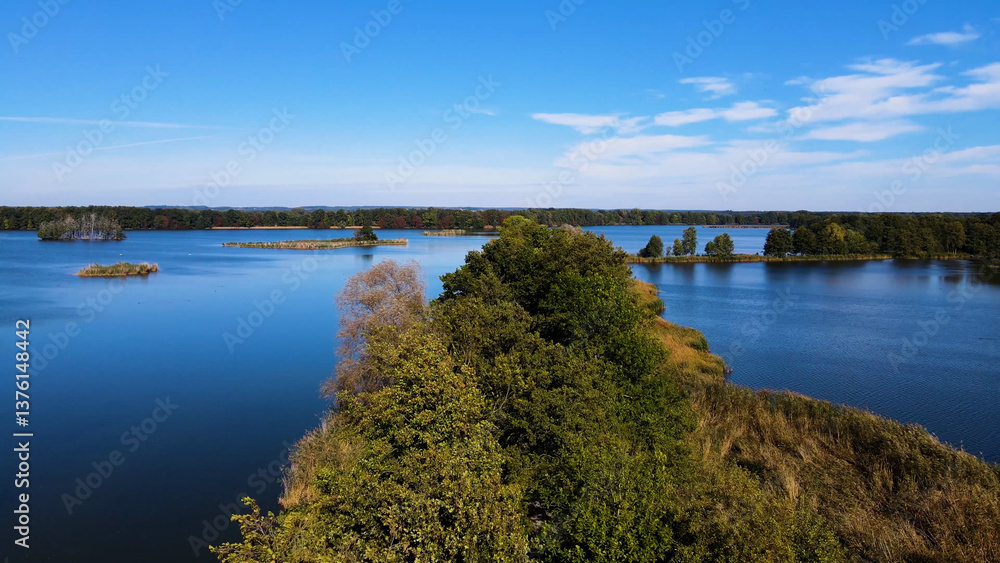 Fototapeta premium trees in water view from above lake