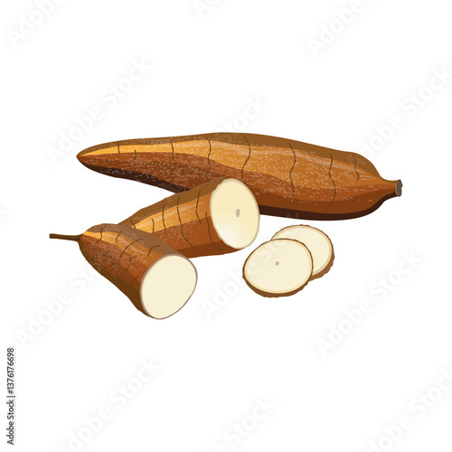 Cassave for flour industry or ethanol industry