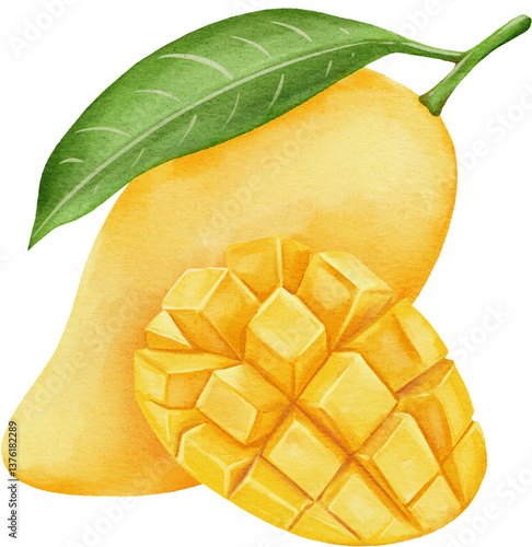 watercolor mango
