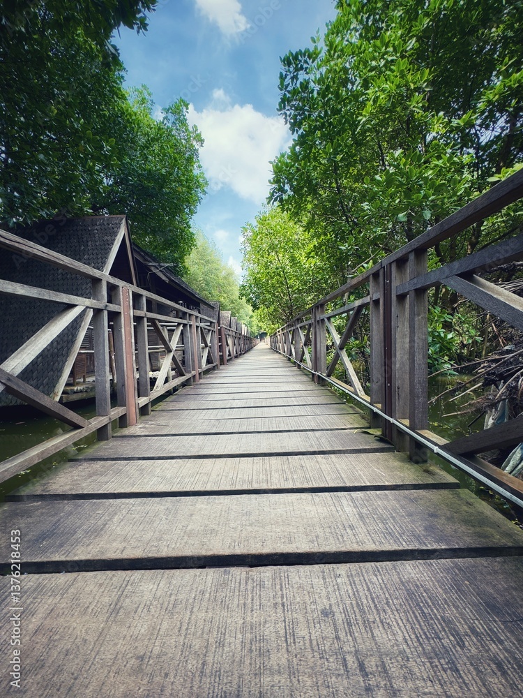 Obraz premium A dramatic scene of a wooden pedestrian bridge in the natural tourism area