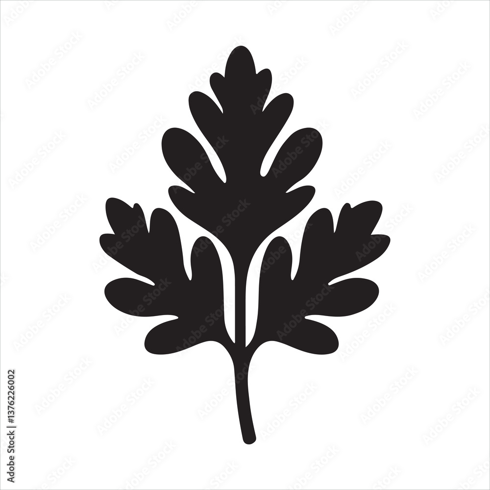 Obraz premium Simple parsley linear black silhouette 