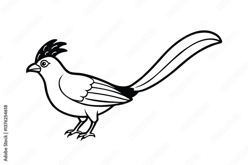 Fototapeta premium Elegant Black Line Art Bird Illustration Long Tail, Crest