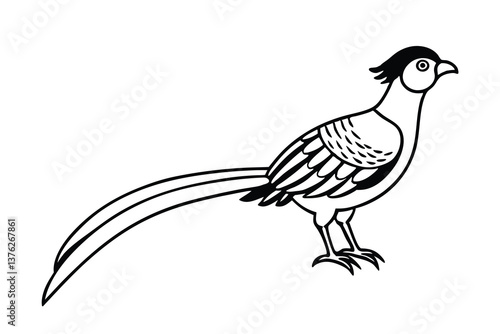Elegant Pheasant Bird Line Art Black and White Illustration