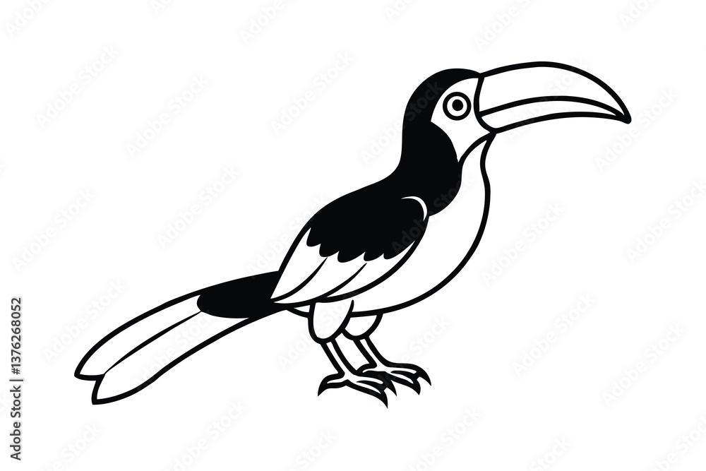 Fototapeta premium Black and White Toucan Illustration, Bird Drawing, Tropical Animal
