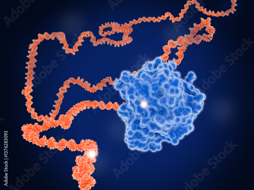 Oncogene: DNA mutation leads to mutated KRAS protein