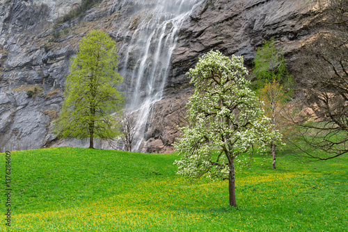 Photo of the Staubbach Falls flowing down, lawn and trees.