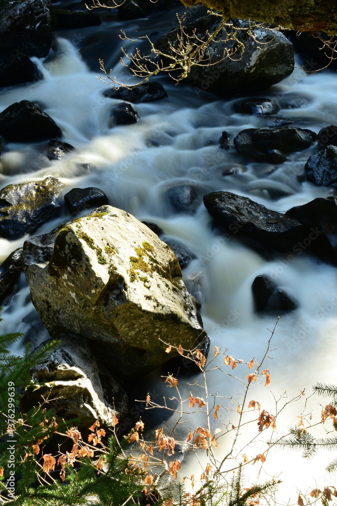 Obraz premium waterfall in the woods