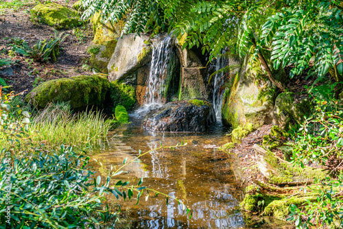 Bellevue Garden Waterfalls 6