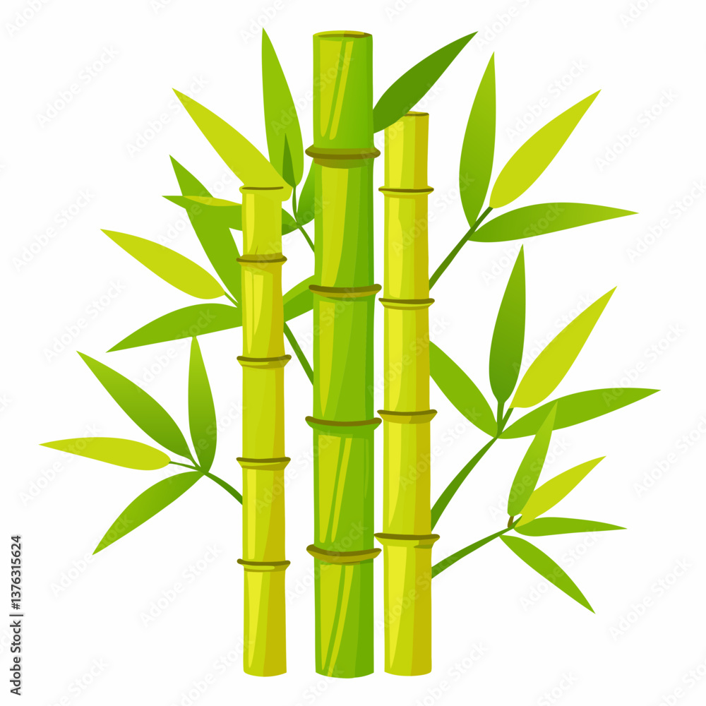 Naklejka premium bamboo vector illustration on white background