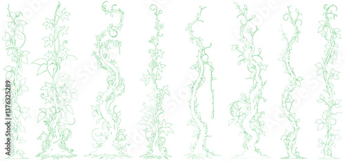 Green Jungle creeper outline. silhouettes Tropical forest lianas, rainforest hanging sprouts. Climbing liana vines flat set vector