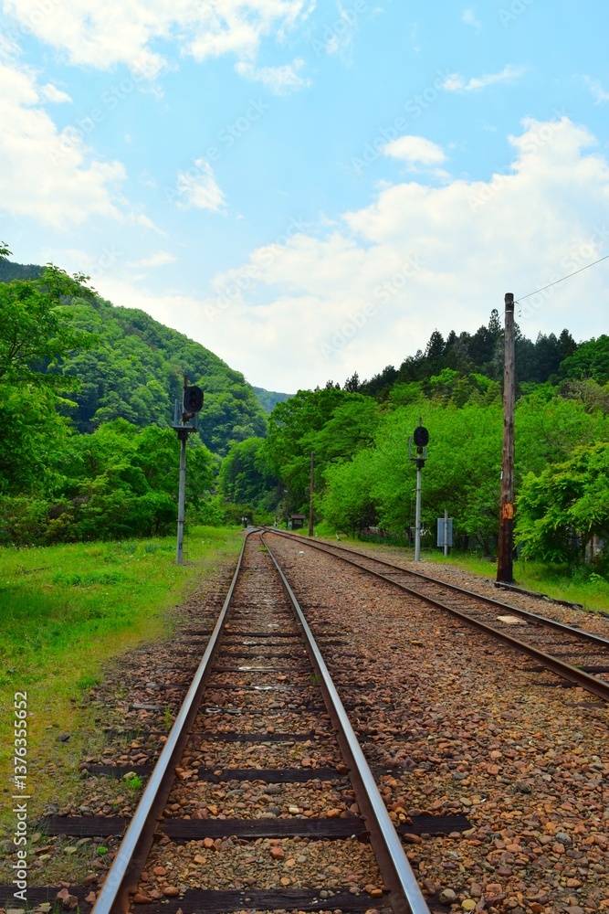 Fototapeta premium Landscape on the Watarase Keikoku Line in Gunma, Japan
