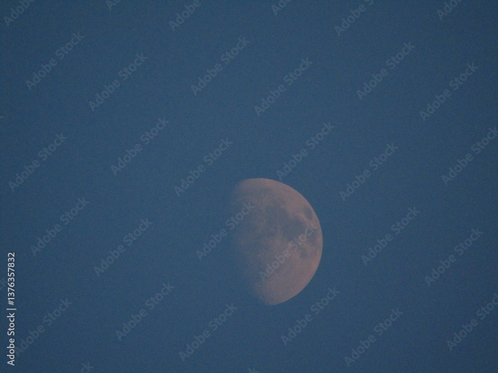 moon moon