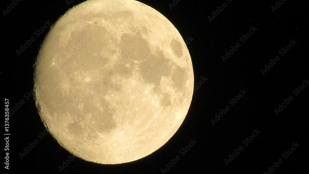 Obraz premium moon in the night sky