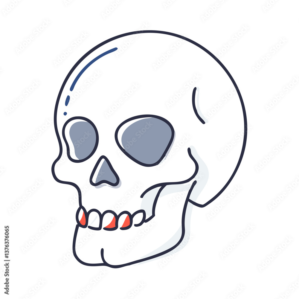 Fototapeta premium Realistic human skull side view