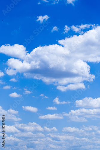 Fototapeta Naklejka Na Ścianę i Meble -  vertical blue sky background with many clouds