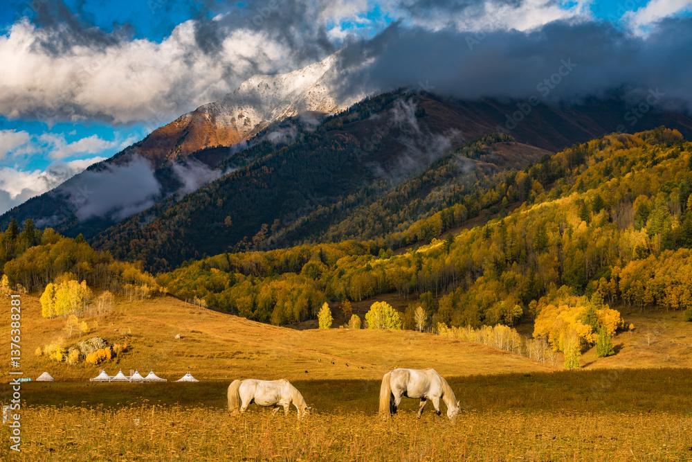 Fototapeta premium Forest and mountain landscape photography with scenic beauty