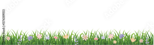 green grass background
