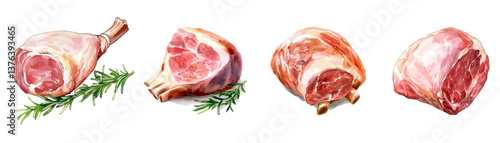 Watercolor pieces of raw meat, fillet, ribs and leg. Set of meat cuts. Parts of livestock meat. Animal meat parts, beef, pork, lamb. Vector illustration.