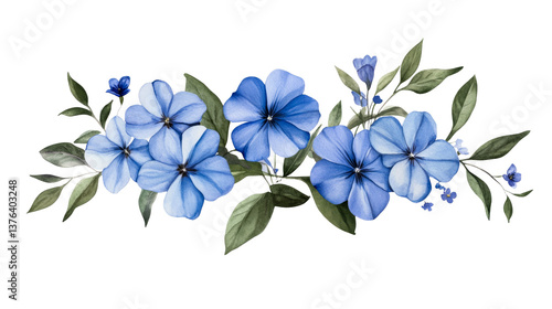 Blue flowers with green leaves on a transparent background