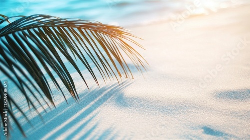 Relaxing Palm Leaf on Sandy Beach with Ocean Waves in Sunlight