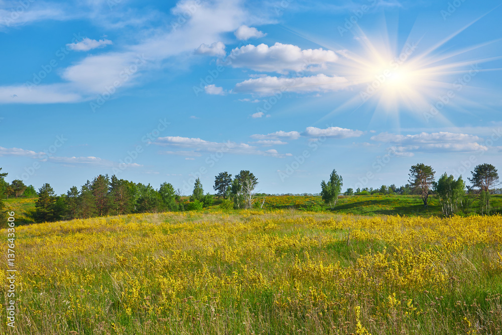 Obraz premium Yellow Flowers and Hills Under Blue Sky