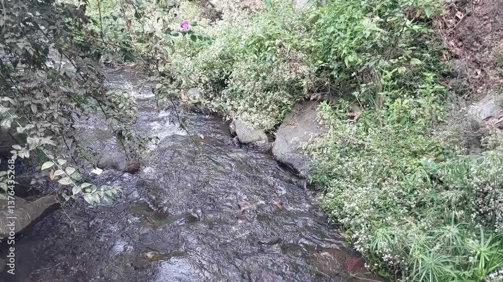 This is a small river located near Coban Rondo waterfall, East Java, Indonesia. This is a small river located near Coban Rondo waterfall, East Java, Indonesia.