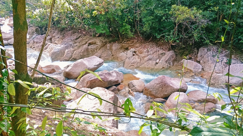 Obraz premium A serene river flows through a lush jungle, surrounded by rocks and dense trees, showcasing nature's vibrant beauty. 