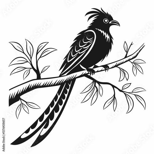 resplendent quetzal black silhouette vector