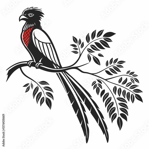 resplendent quetzal black silhouette vector