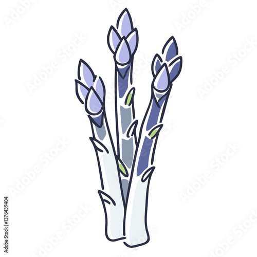 Asparagus spears in flat illustration