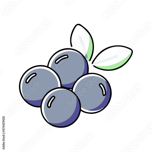 Blueberries in flat illustration