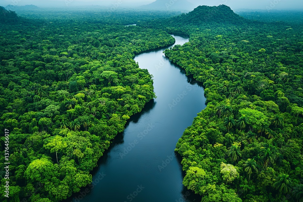 Fototapeta premium Lush green forest alongside a winding river flowing through the landscape
