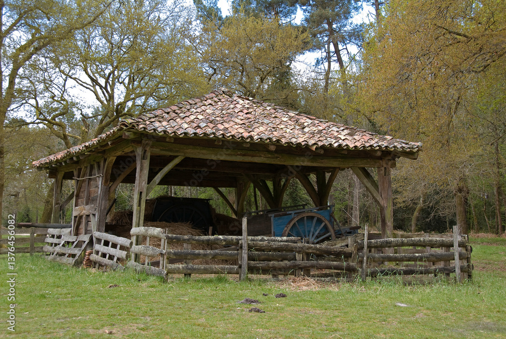 Ferme, étable Landaise, Eco musée de Marquéze, Parc naturel des Landes de Gascogne, 40, Landes, France Ferme, étable Landaise, Eco musée de Marquéze, Parc naturel des Landes de Gascogne, 40, Landes, France