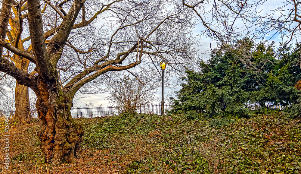 Central Park Reservoir
