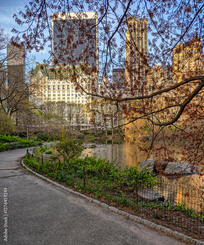 Obraz na płótnie Central Park in spring w salonie
