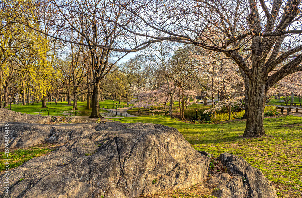 Central Park in spring