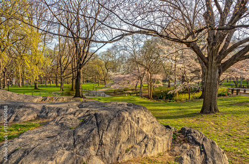 Obraz na płótnie Central Park in spring w salonie