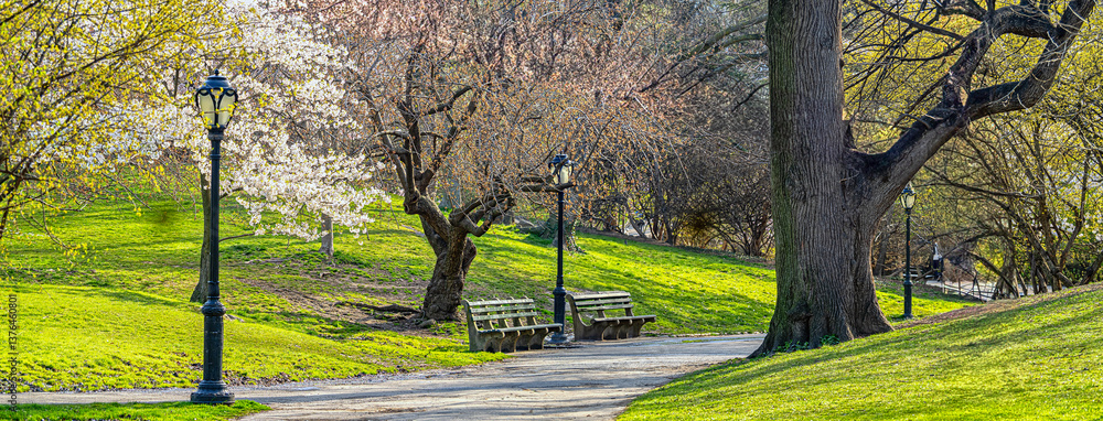 Central Park in spring