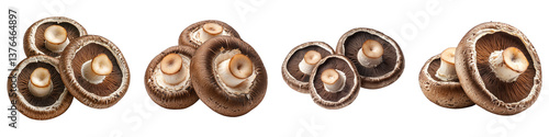 Portobello mushroom isolated on transparent background. PNG , Set of