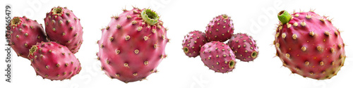 Prickly pear cactus fruit isolated on transparent background. PNG , Set of