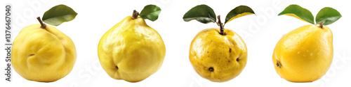 Quince isolated on transparent background. PNG , Set of