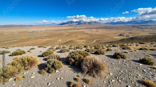 A vast desert landscape stretches out under a clear blue sky, dotted with small bushes and rocks, leading to distant mountains in the background