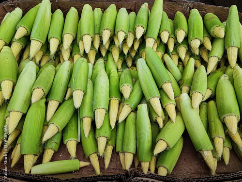 fresh green corn sold in traditional Indonesian market 