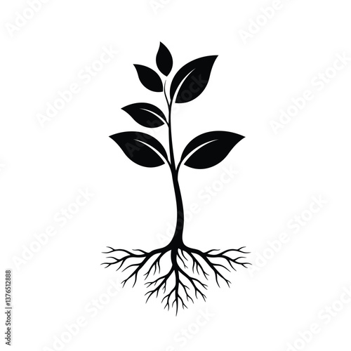 tree with roots