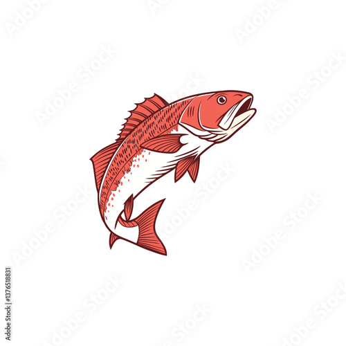 vector illustration of a red fish