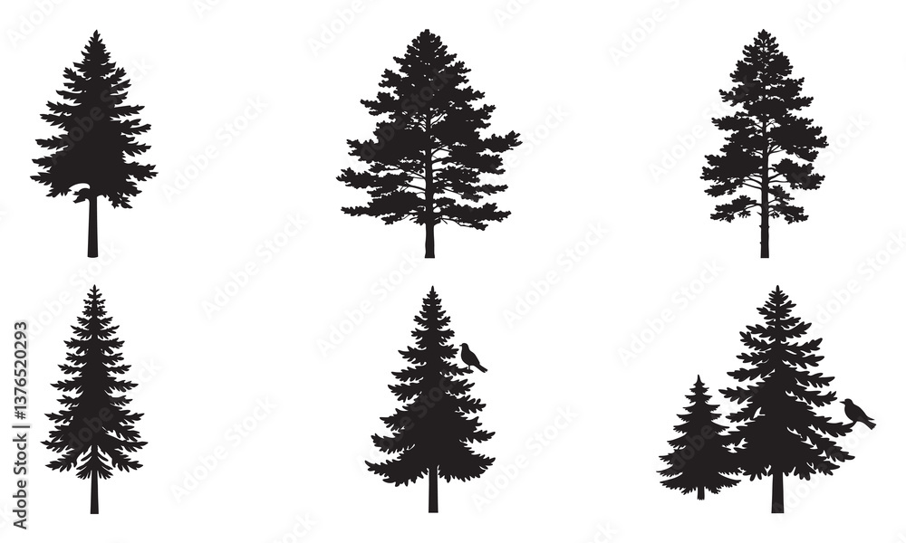 Obraz premium Majestic Pine: Nature’s Evergreen Guardian