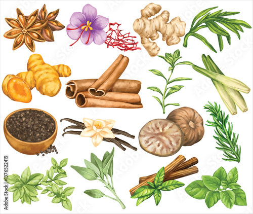 Watercolor Herb and Spice Illustration Set Hand Painted Ginger Saffron Vanilla Cinnamon Star Anise Turmeric Lemongrass Basil Mint Artistic Botanical Cooking Art